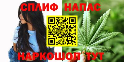 spice Гусиноозёрск