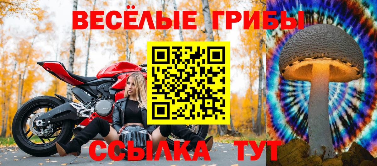 Галлюциногенные грибы Psilocybine cubensis Воркута